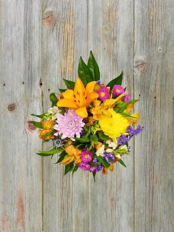 GARDEN OASIS - 16 STEM